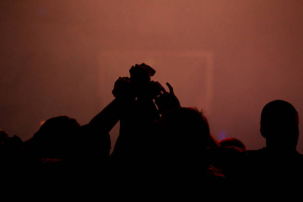 这篇文章 这篇文章