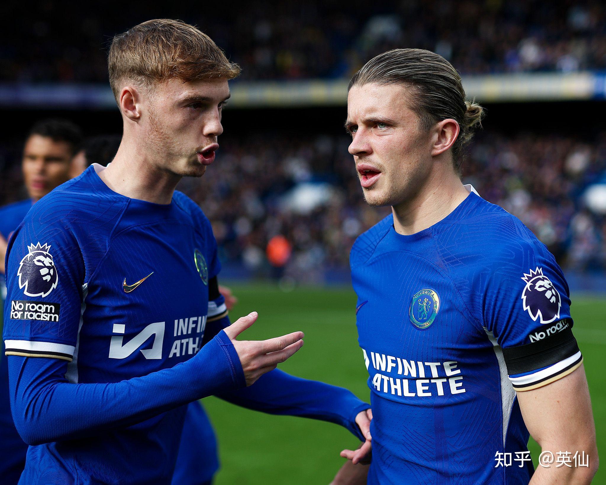 分析维斯塔 分析维斯塔